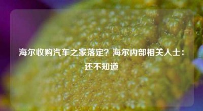 海尔收购汽车之家落定？海尔内部相关人士：还不知道