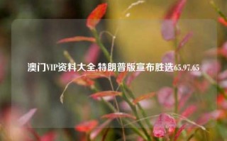 澳门VIP资料大全,特朗普版宣布胜选65.97.65