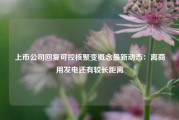 上市公司回复可控核聚变概念最新动态：离商用发电还有较长距离