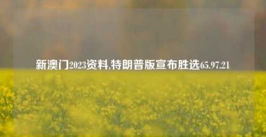 新澳门2023资料,特朗普版宣布胜选65.97.21