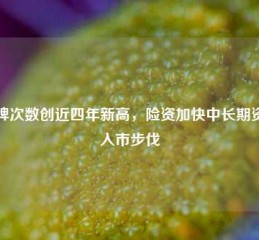 举牌次数创近四年新高，险资加快中长期资金入市步伐