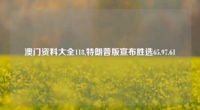 澳门资料大全118,特朗普版宣布胜选65.97.61