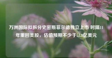 万洲国际拟拆分史密斯菲尔德独立上市 时隔11年重回美股，估值预期不少于53.8亿美元