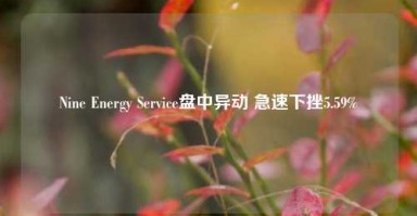 Nine Energy Service盘中异动 急速下挫5.59%