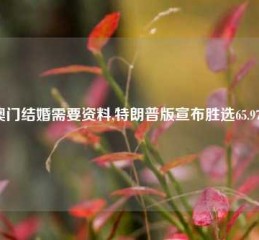 澳门结婚需要资料,特朗普版宣布胜选65.97.6