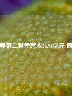 阿里大文娱第二财季营收56.94亿元 同比下滑1%