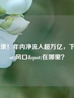 ETF再创纪录！年内净流入超万亿，下个20年"风口"在哪里？