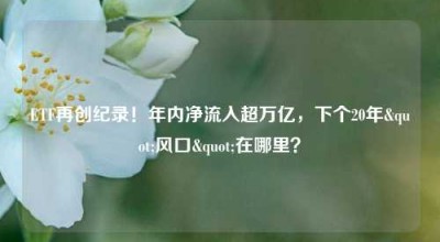 ETF再创纪录！年内净流入超万亿，下个20年"风口"在哪里？