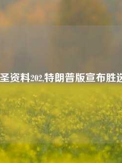 澳门赌圣资料202,特朗普版宣布胜选65.97.95