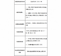 国寿财险石嘴山市惠农区支公司被罚6.5万元：因给予投保人合同约定以外利益