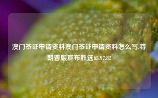 澳门签证申请资料澳门签证申请资料怎么写,特朗普版宣布胜选65.97.82