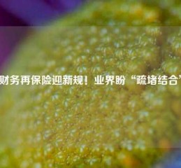 财务再保险迎新规！业界盼“疏堵结合”