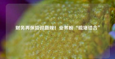 财务再保险迎新规！业界盼“疏堵结合”