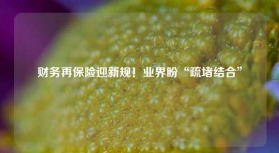 财务再保险迎新规！业界盼“疏堵结合”