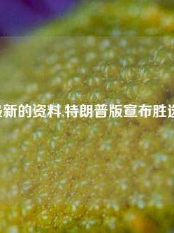 澳门最新的资料,特朗普版宣布胜选65.97.1