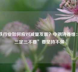 钢铁行业如何应对减量发展？中钢协姜维：“三定三不要”要坚持不懈