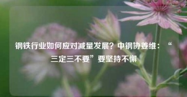 钢铁行业如何应对减量发展？中钢协姜维：“三定三不要”要坚持不懈