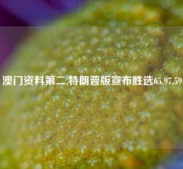 澳门资料第二,特朗普版宣布胜选65.97.59