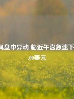 纳图兹家具盘中异动 临近午盘急速下挫7.51%报4.00美元