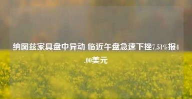 纳图兹家具盘中异动 临近午盘急速下挫7.51%报4.00美元