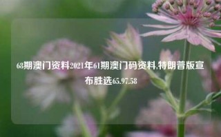 68期澳门资料2021年61期澳门码资料,特朗普版宣布胜选65.97.58