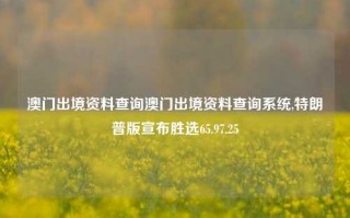 澳门出境资料查询澳门出境资料查询系统,特朗普版宣布胜选65.97.25