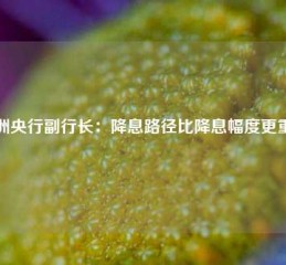 欧洲央行副行长：降息路径比降息幅度更重要