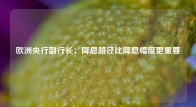 欧洲央行副行长：降息路径比降息幅度更重要