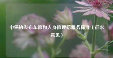 中保协发布车险和人身险理赔服务标准（征求意见）