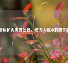 聚焦扩内需促创新，经济大省冲刺四季度