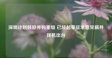 深圳计划鼓励并购重组 已经起草征求意见稿并择机出台