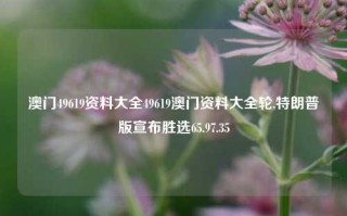 澳门49619资料大全49619澳门资料大全轮,特朗普版宣布胜选65.97.35