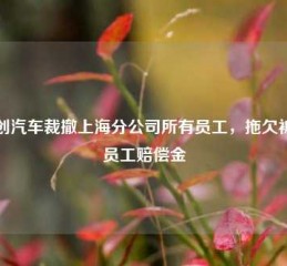 合创汽车裁撤上海分公司所有员工，拖欠被裁员工赔偿金