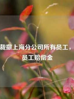 合创汽车裁撤上海分公司所有员工，拖欠被裁员工赔偿金