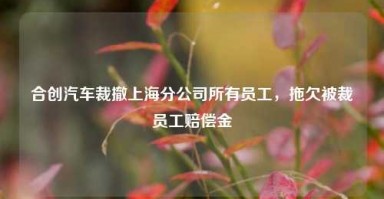 合创汽车裁撤上海分公司所有员工，拖欠被裁员工赔偿金