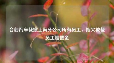 合创汽车裁撤上海分公司所有员工，拖欠被裁员工赔偿金