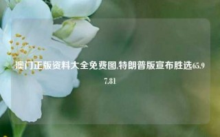 澳门正版资料大全免费图,特朗普版宣布胜选65.97.81