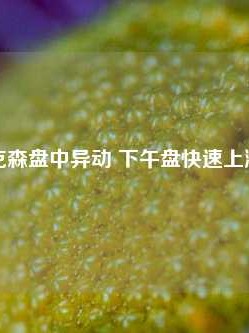 伊莱克森盘中异动 下午盘快速上涨6.68%