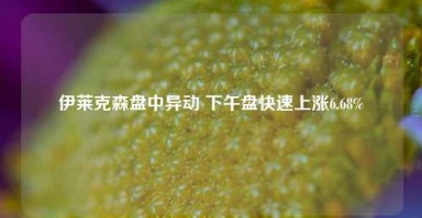 伊莱克森盘中异动 下午盘快速上涨6.68%