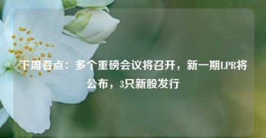 下周看点：多个重磅会议将召开，新一期LPR将公布，3只新股发行