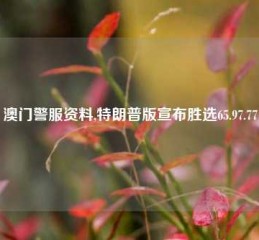 澳门警服资料,特朗普版宣布胜选65.97.77