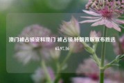 澳门被占领资料澳门 被占领,特朗普版宣布胜选65.97.16