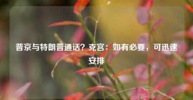 普京与特朗普通话？克宫：如有必要，可迅速安排