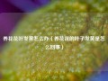 养花花叶发黄怎么办（养花花的叶子发黄是怎么回事）