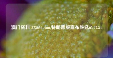 澳门资料 525656 com,特朗普版宣布胜选65.97.54