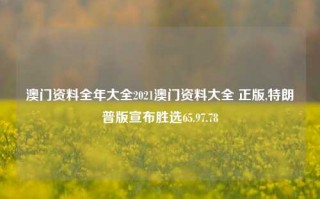 澳门资料全年大全2021澳门资料大全 正版,特朗普版宣布胜选65.97.78