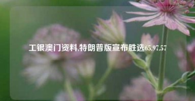 工银澳门资料,特朗普版宣布胜选65.97.57