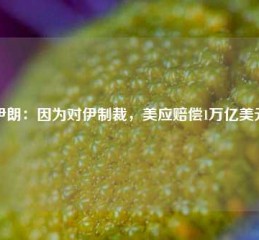 伊朗：因为对伊制裁，美应赔偿1万亿美元