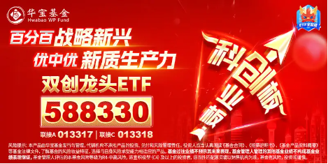 倒车接人？百分百布局战略新兴产业的双创龙头ETF（588330）场内频现溢价，或有资金逢跌进场埋伏！-第4张图片-养花知识-花卉种植与养护技巧