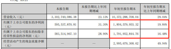 远兴能源被中国证监会立案，涉嫌未及时披露参股子公司重大诉讼-第3张图片-养花知识-花卉种植与养护技巧